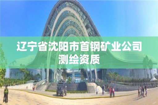 遼寧省沈陽市首鋼礦業(yè)公司測(cè)繪資質(zhì)