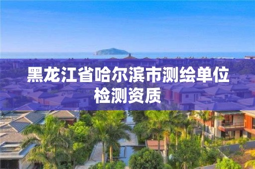 黑龍江省哈爾濱市測繪單位檢測資質