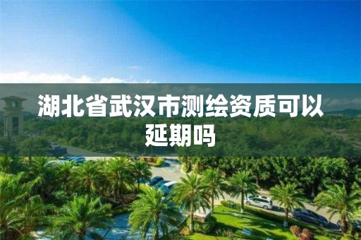 湖北省武漢市測繪資質可以延期嗎