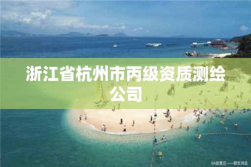 浙江省杭州市丙級資質測繪公司