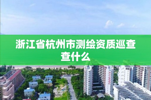 浙江省杭州市測繪資質巡查查什么