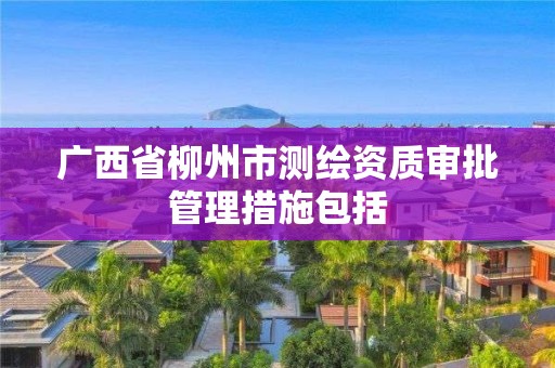 廣西省柳州市測繪資質審批管理措施包括