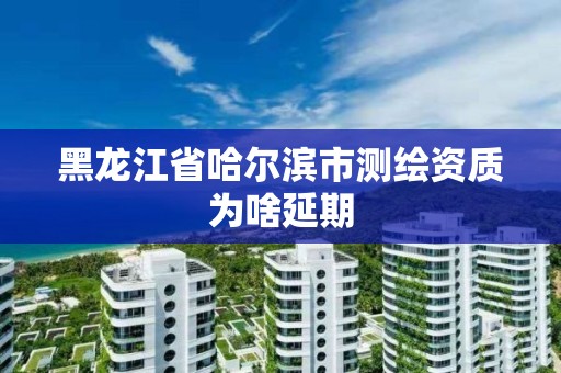 黑龍江省哈爾濱市測繪資質為啥延期