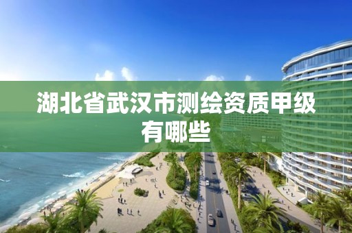 湖北省武漢市測繪資質甲級有哪些