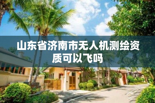 山東省濟南市無人機測繪資質可以飛嗎