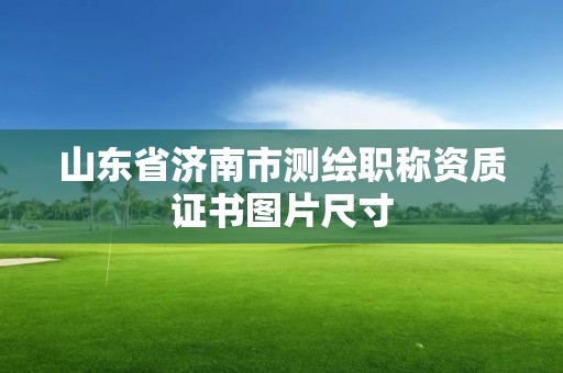 山東省濟南市測繪職稱資質證書圖片尺寸