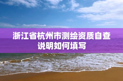 浙江省杭州市測繪資質自查說明如何填寫