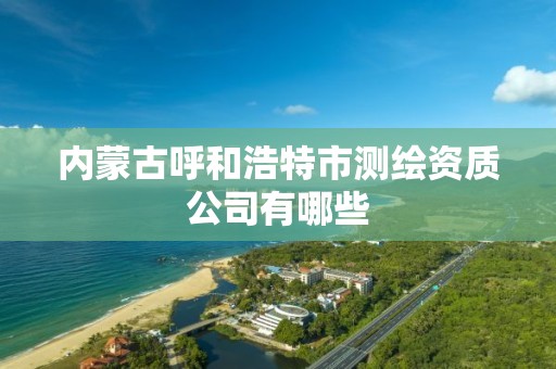 內蒙古呼和浩特市測繪資質公司有哪些