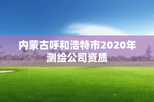 內蒙古呼和浩特市2020年測繪公司資質