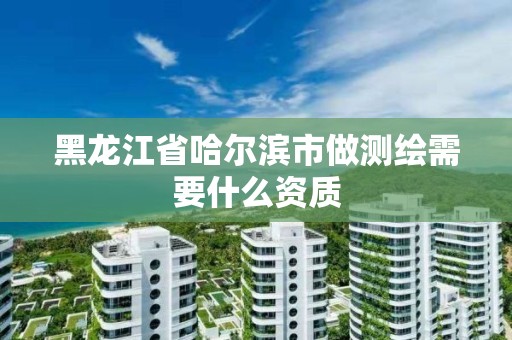 黑龍江省哈爾濱市做測繪需要什么資質