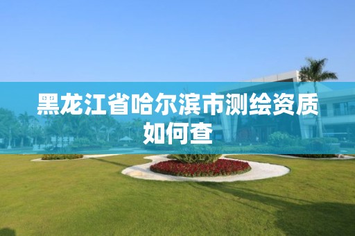 黑龍江省哈爾濱市測繪資質如何查