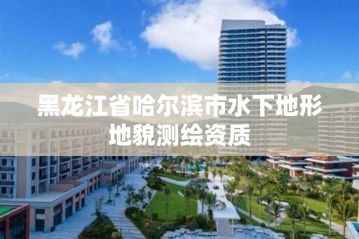 黑龍江省哈爾濱市水下地形地貌測繪資質