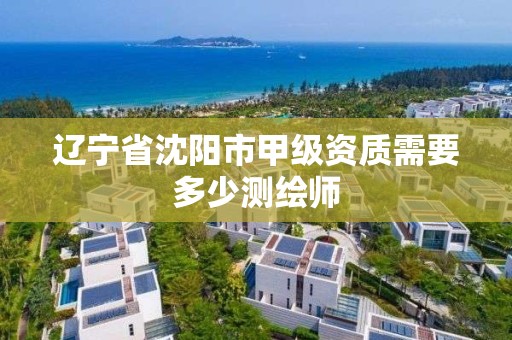 遼寧省沈陽市甲級資質需要多少測繪師