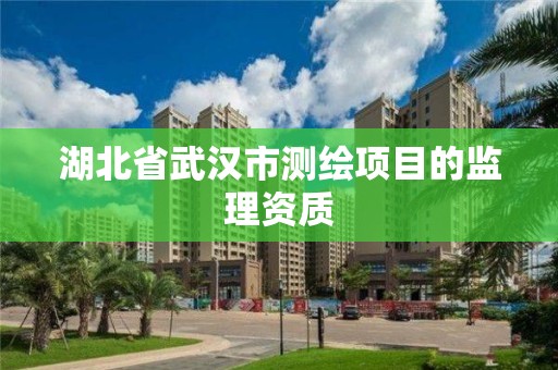 湖北省武漢市測繪項目的監理資質