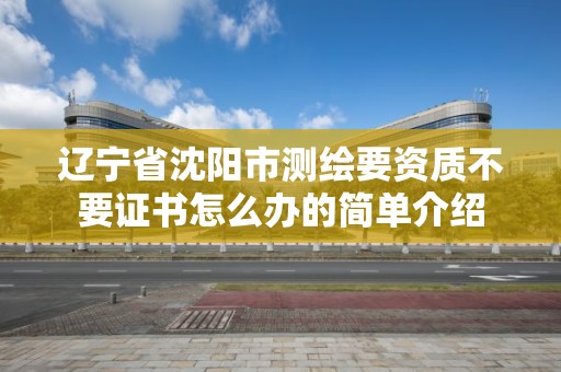 遼寧省沈陽市測繪要資質不要證書怎么辦的簡單介紹