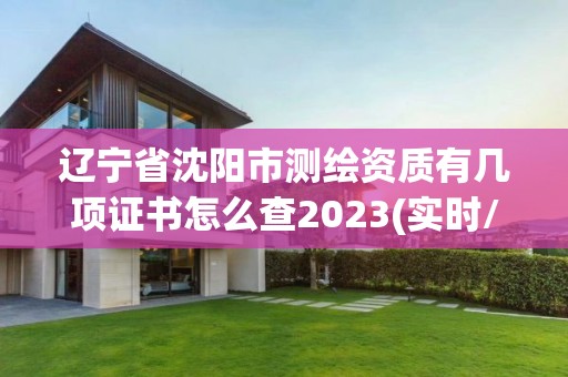 遼寧省沈陽市測繪資質有幾項證書怎么查2023(實時/更新中)