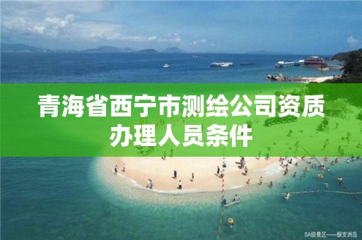 青海省西寧市測繪公司資質(zhì)辦理人員條件