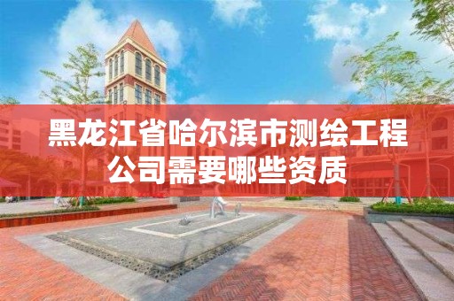 黑龍江省哈爾濱市測繪工程公司需要哪些資質