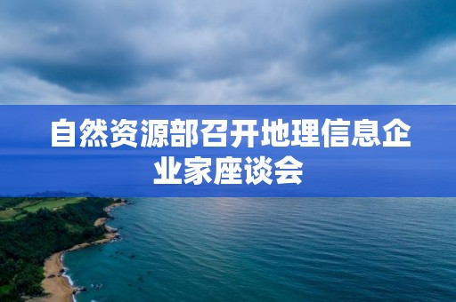 自然資源部召開地理信息企業家座談會