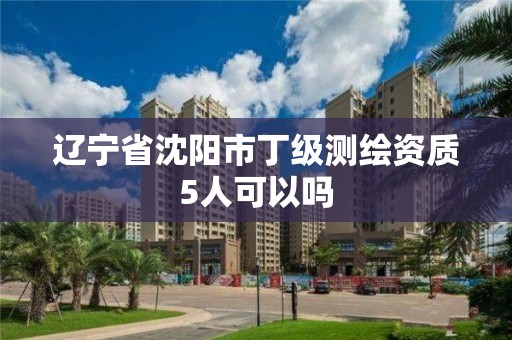 遼寧省沈陽市丁級測繪資質(zhì)5人可以嗎