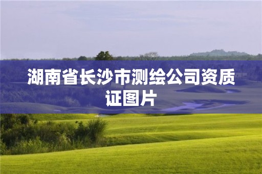 湖南省長(zhǎng)沙市測(cè)繪公司資質(zhì)證圖片