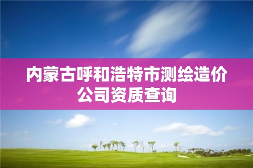 內蒙古呼和浩特市測繪造價公司資質查詢