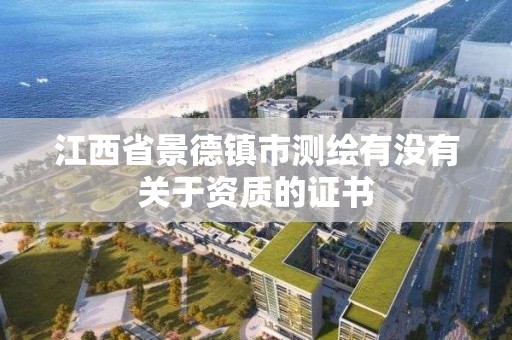 江西省景德鎮市測繪有沒有關于資質的證書