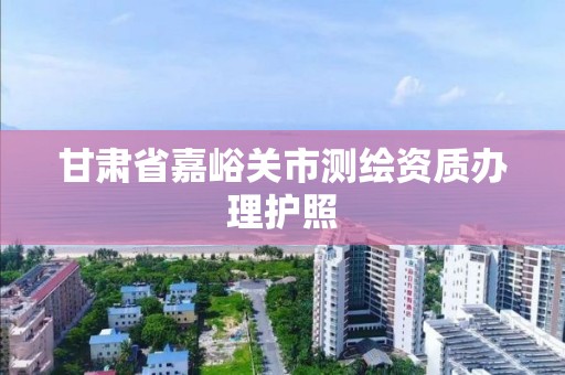 甘肅省嘉峪關市測繪資質辦理護照