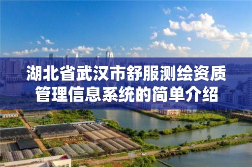 湖北省武漢市舒服測繪資質管理信息系統的簡單介紹