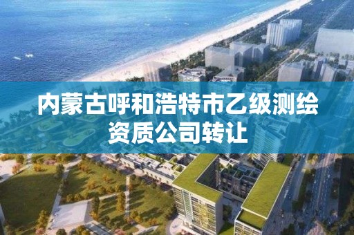 內蒙古呼和浩特市乙級測繪資質公司轉讓