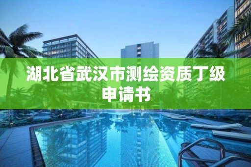 湖北省武漢市測繪資質丁級申請書