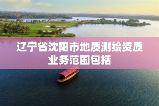 遼寧省沈陽(yáng)市地質(zhì)測(cè)繪資質(zhì)業(yè)務(wù)范圍包括