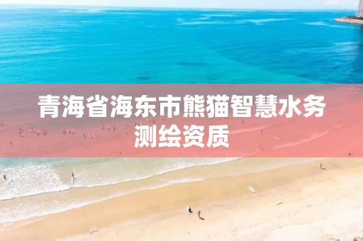 青海省海東市熊貓智慧水務(wù)測(cè)繪資質(zhì)