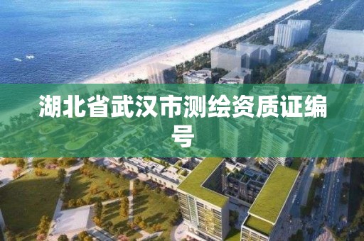 湖北省武漢市測繪資質證編號