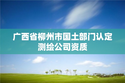 廣西省柳州市國土部門認定測繪公司資質