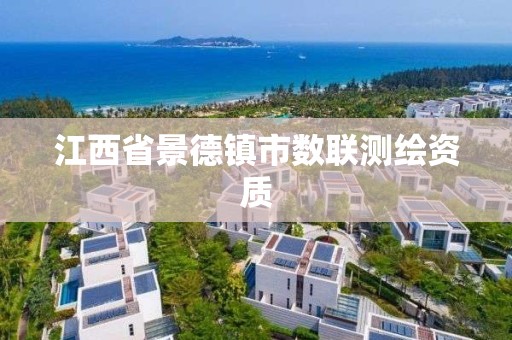 江西省景德鎮市數聯測繪資質