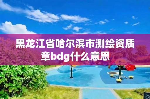 黑龍江省哈爾濱市測(cè)繪資質(zhì)章bdg什么意思