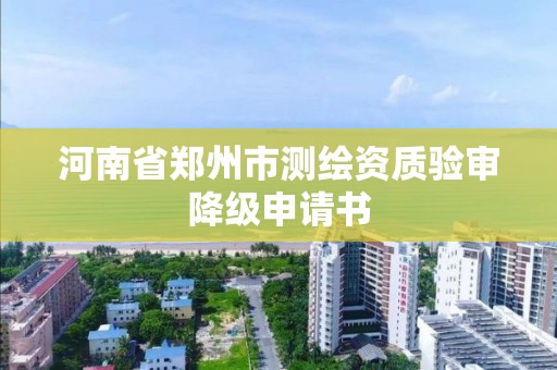 河南省鄭州市測繪資質驗審降級申請書