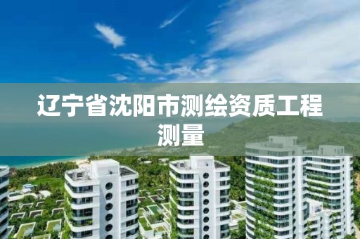 遼寧省沈陽市測繪資質工程測量