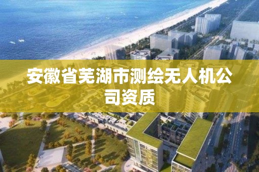 安徽省蕪湖市測繪無人機公司資質