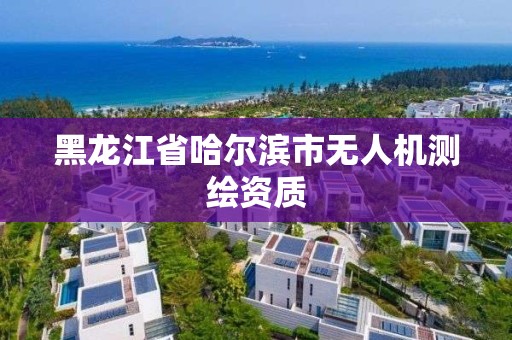 黑龍江省哈爾濱市無人機測繪資質