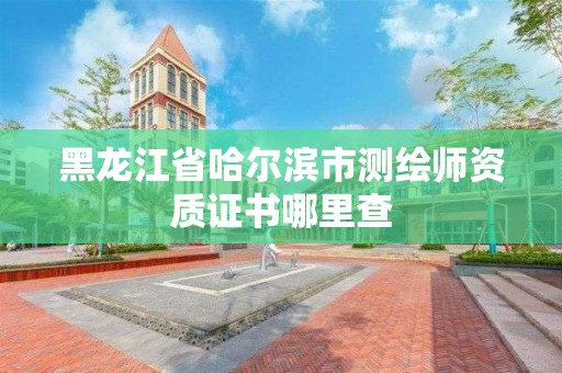 黑龍江省哈爾濱市測繪師資質證書哪里查