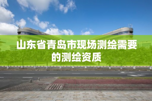 山東省青島市現場測繪需要的測繪資質