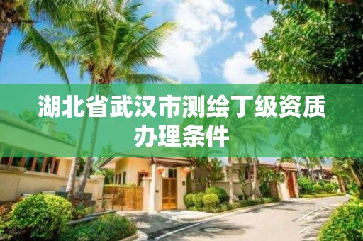 湖北省武漢市測繪丁級資質(zhì)辦理條件