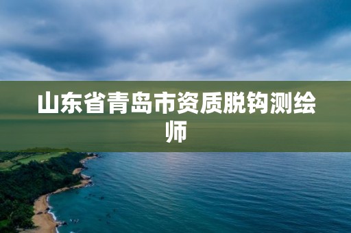 山東省青島市資質(zhì)脫鉤測(cè)繪師