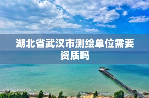 湖北省武漢市測繪單位需要資質(zhì)嗎