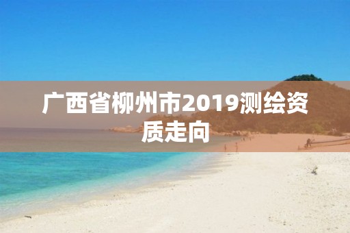 廣西省柳州市2019測繪資質走向