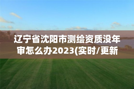 遼寧省沈陽市測繪資質(zhì)沒年審怎么辦2023(實時/更新中)