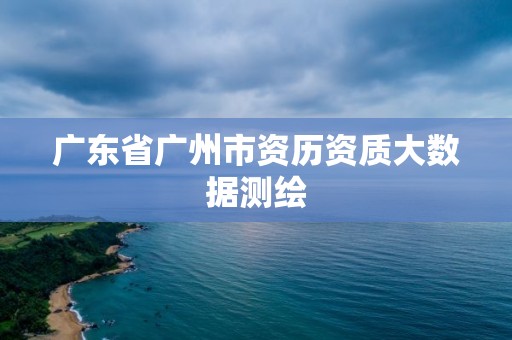 廣東省廣州市資歷資質大數據測繪