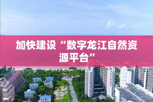 加快建設“數字龍江自然資源平臺”